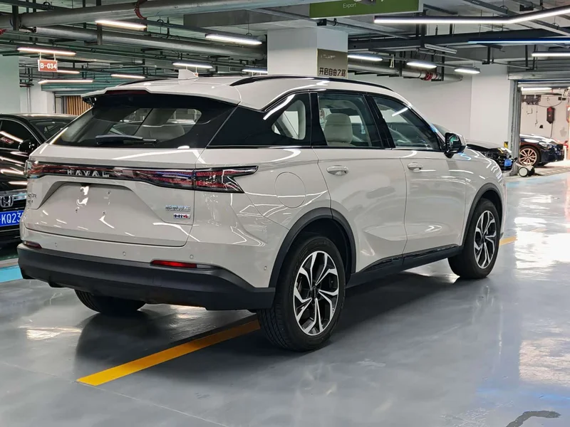 Haval Xiaolong MAX — фото 16
