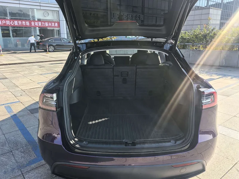 Tesla Model Y — фото 11