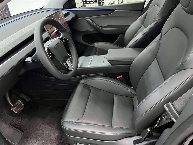 Tesla Model Y — фото 11