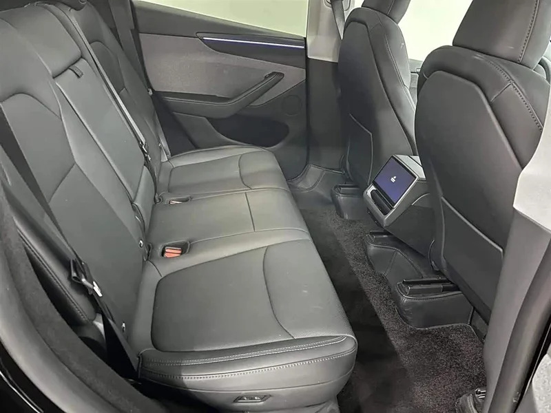 Tesla Model Y — фото 14