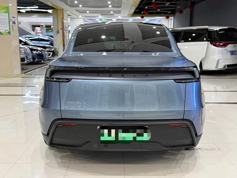 Tesla Model Y — фото 8