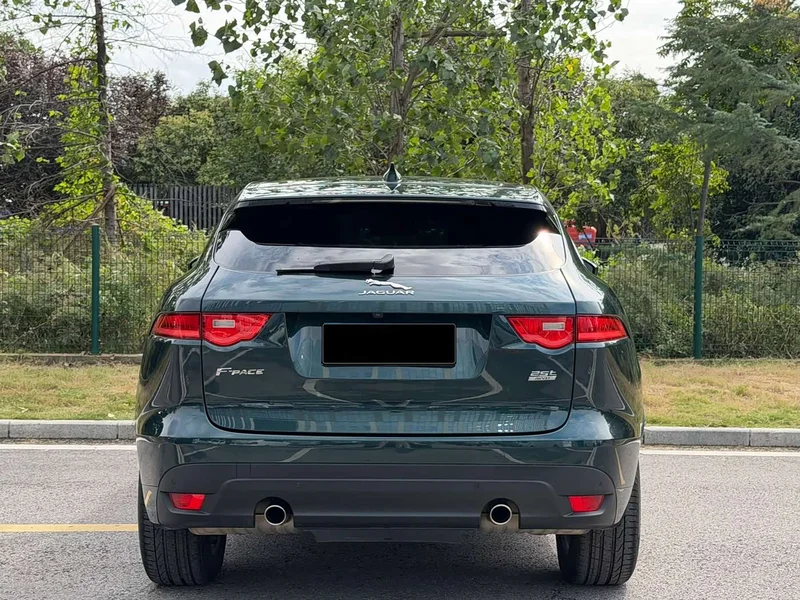 Jaguar F-PACE — фото 16