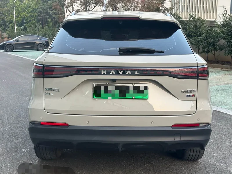 Haval Xiaolong MAX — фото 12