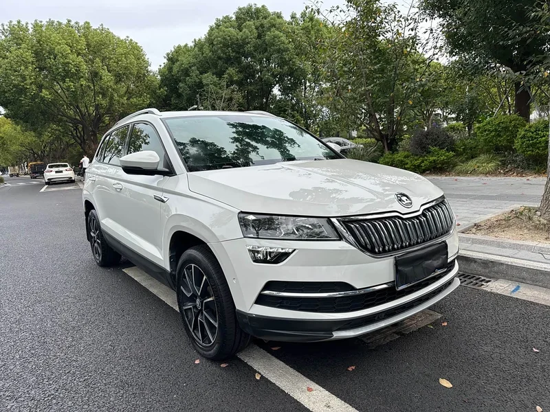 Skoda Karoq — фото 3