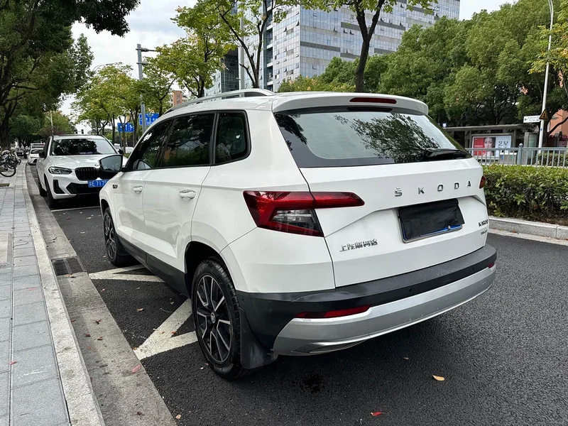 Skoda Karoq — фото 7
