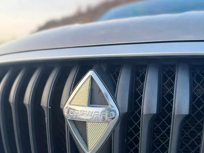 Borgward BX5 — фото 20
