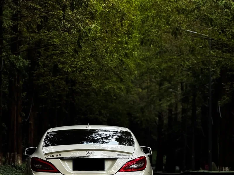 Mercedes-Benz CLS AMG — фото 3
