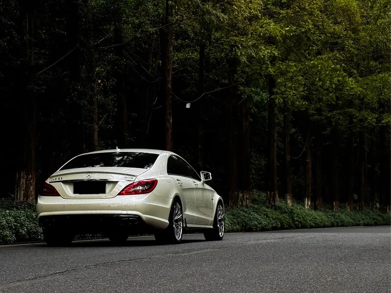 Mercedes-Benz CLS AMG — фото 4