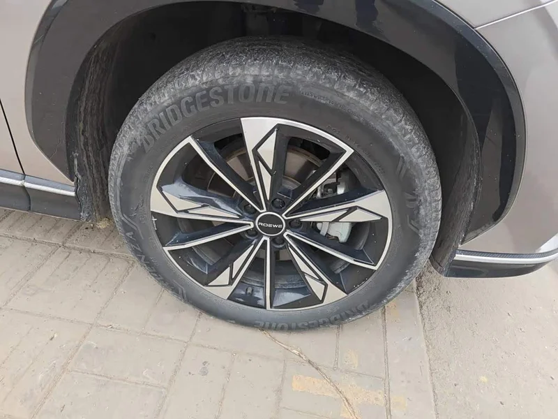 Roewe RX5 New Energy — фото 25
