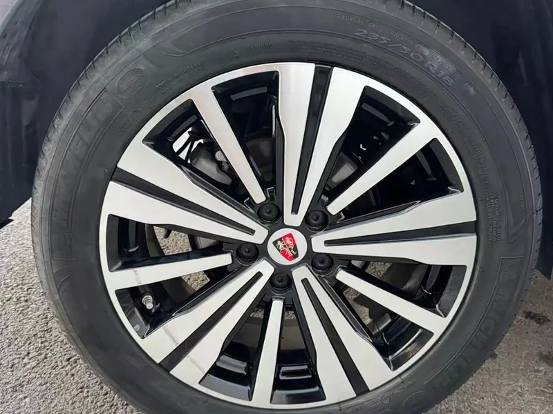 Roewe RX5 New Energy — фото 9