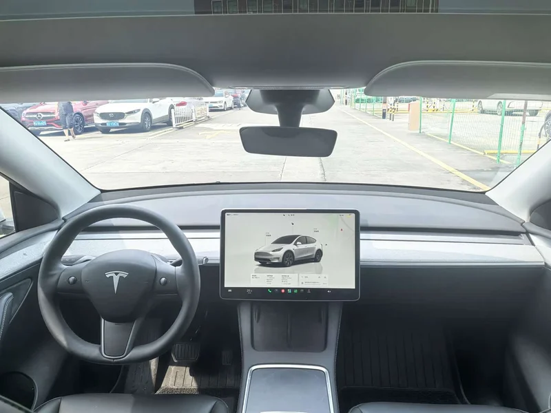 Tesla Model Y — фото 13