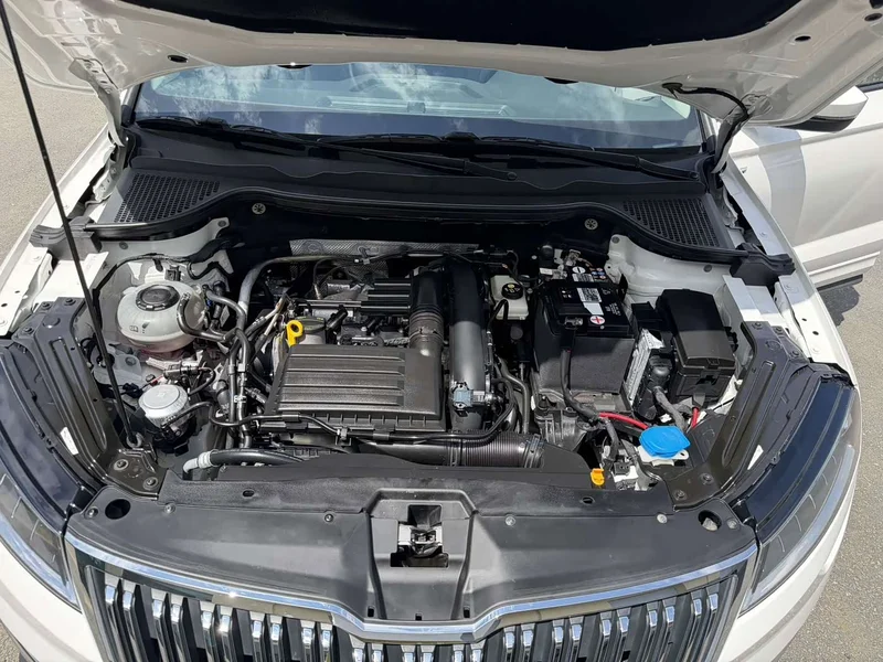 Skoda Karoq — фото 16