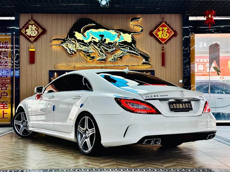 Mercedes-Benz CLS AMG — фото 16