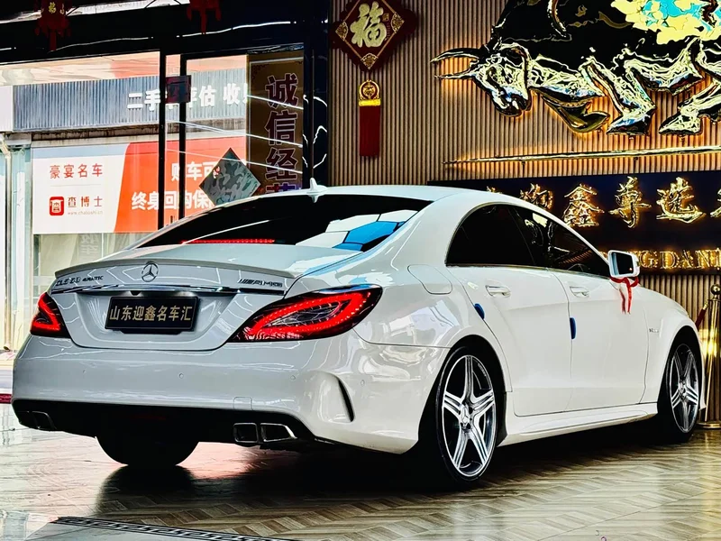 Mercedes-Benz CLS AMG — фото 18