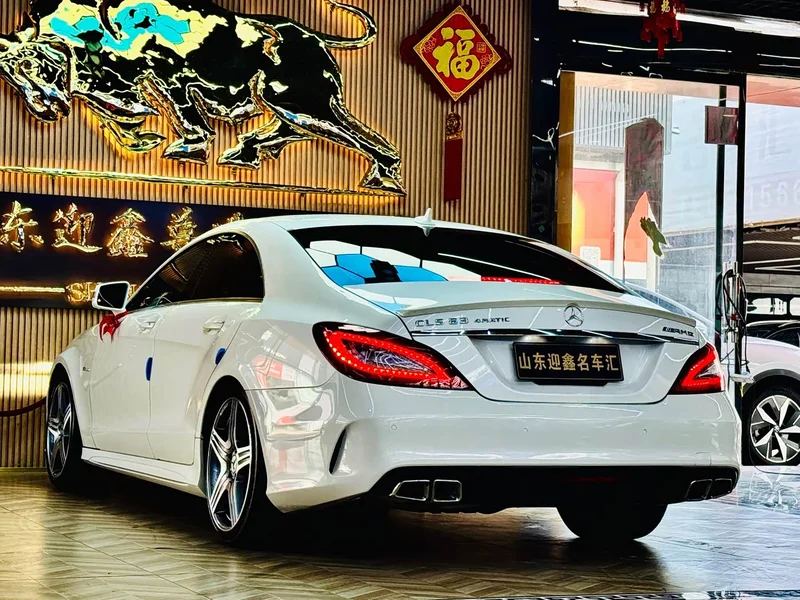 Mercedes-Benz CLS AMG — фото 19