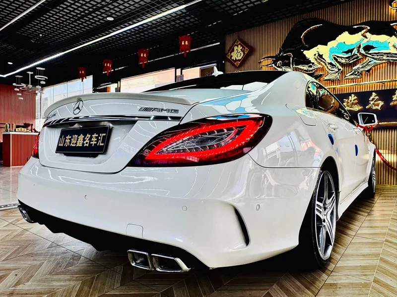 Mercedes-Benz CLS AMG — фото 21