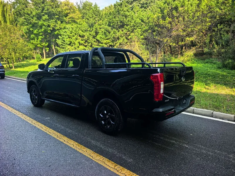 Great Wall Poer — фото 5