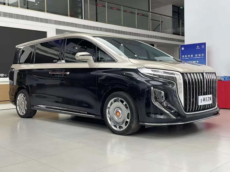 Hongqi HQ9 — фото 3