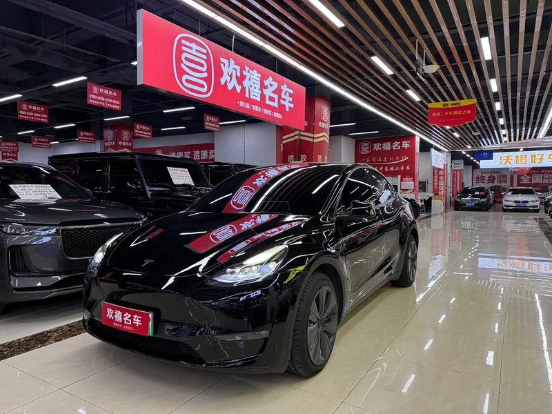 Tesla Model Y — фото 1