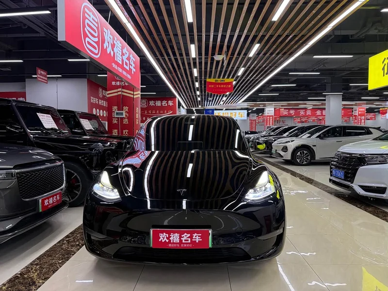 Tesla Model Y — фото 2