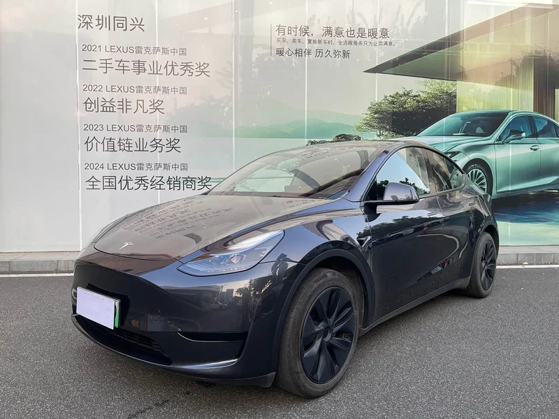 Tesla Model Y — фото 1