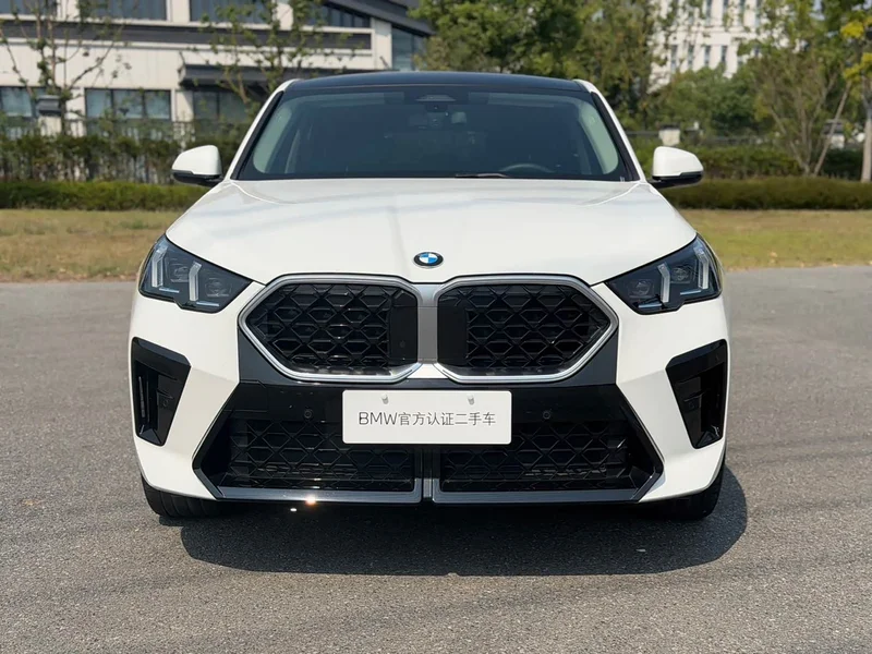 BMW X2 (Imported) — фото 2