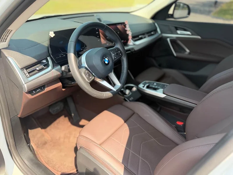 BMW X2 (Imported) — фото 9