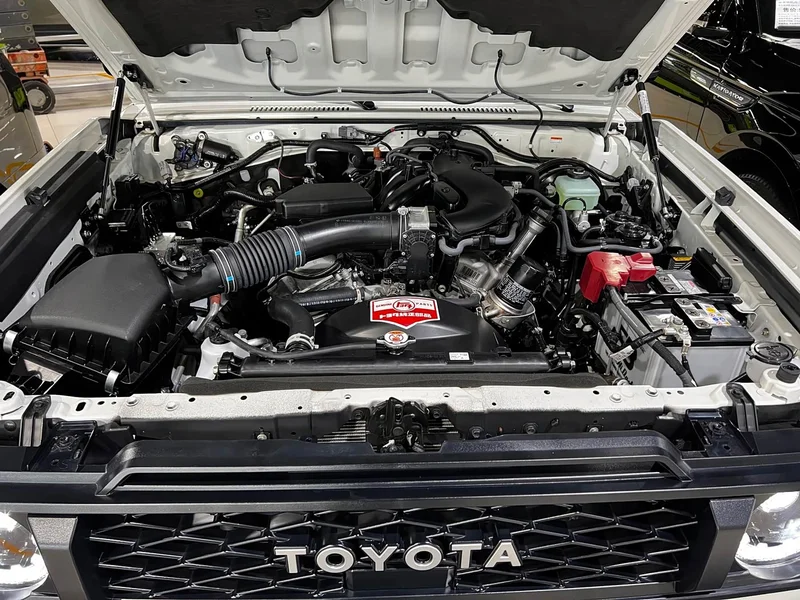 Toyota Land Cruiser (Imported) — фото 20