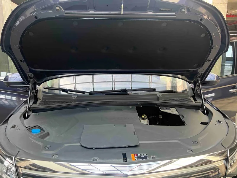 Roewe iMAX8 New Energy — фото 13