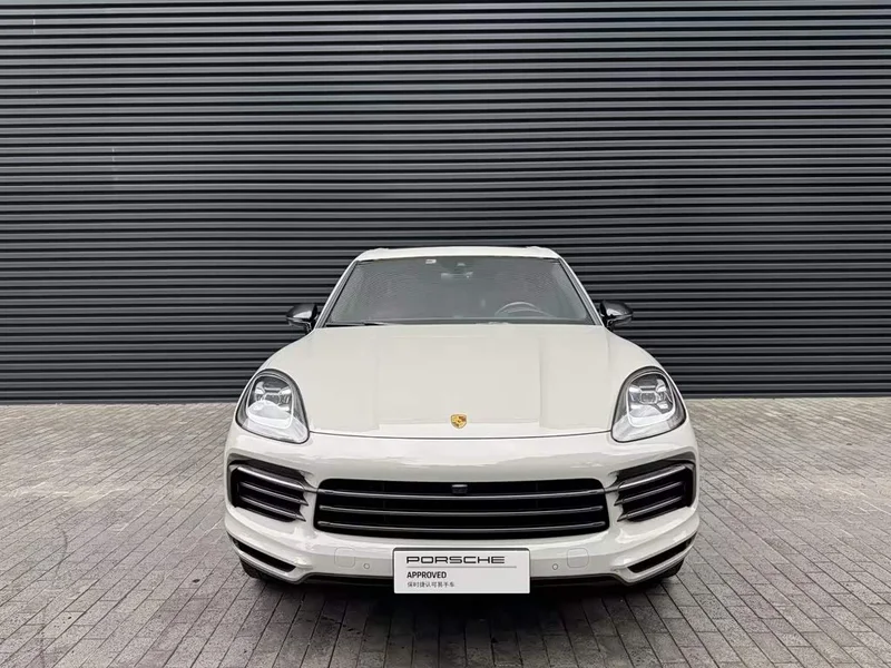 Porsche Cayenne — фото 16