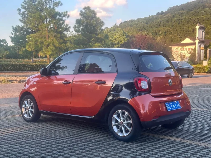 Smart Forfour — фото 9