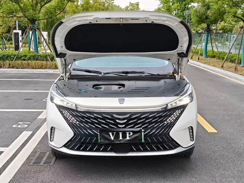Roewe RX5 New Energy — фото 10