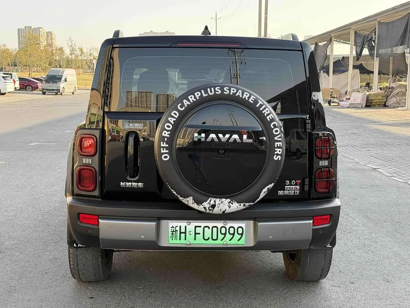 Haval Menglong New Energy — фото 7
