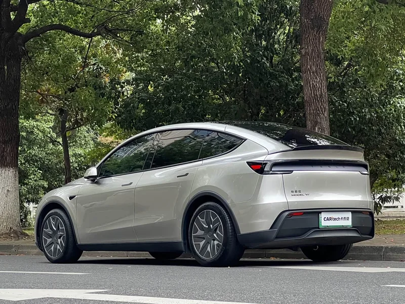 Tesla Model Y — фото 21