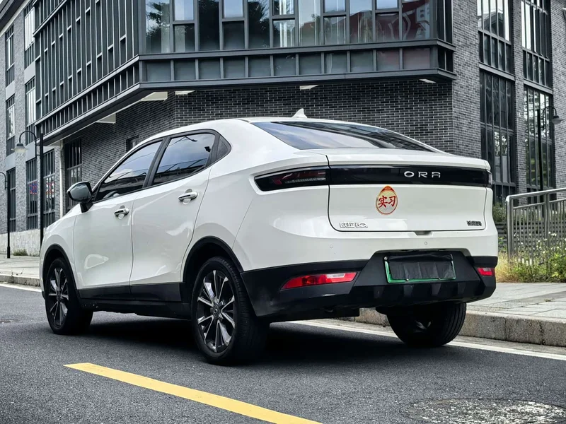 Ora iQ — фото 10