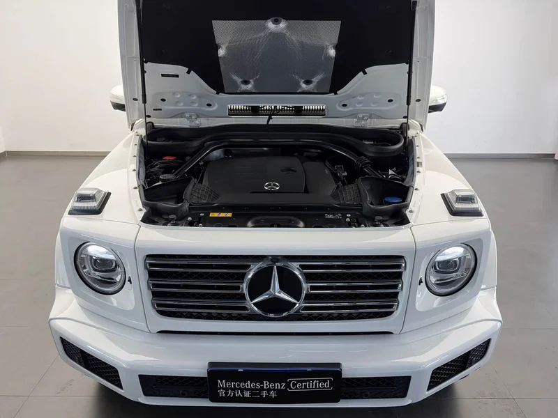 Mercedes-Benz G-Class — фото 22