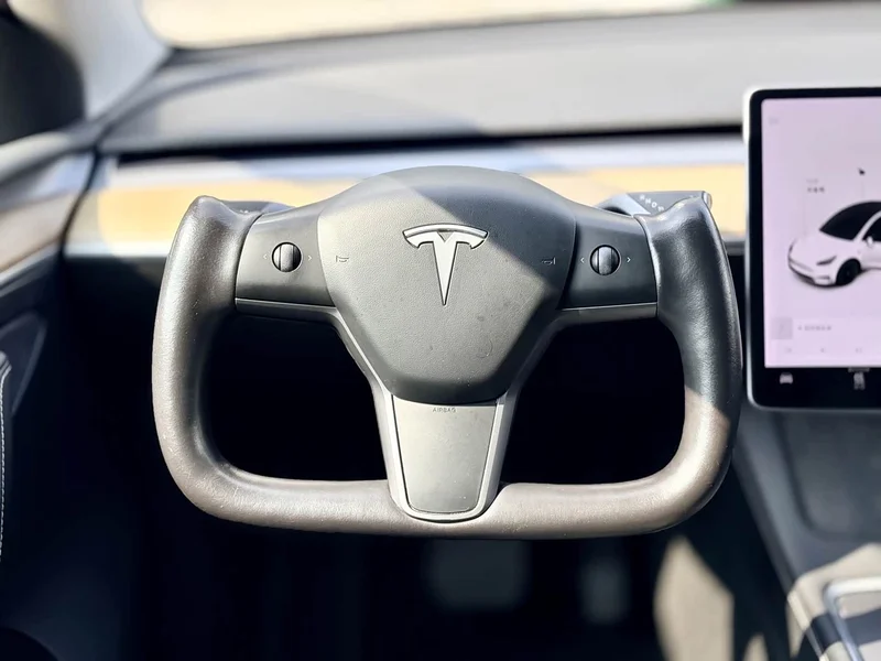 Tesla Model Y — фото 8