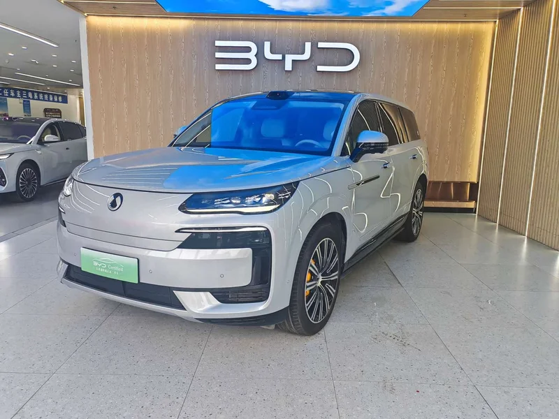 Denza N9 — фото 1