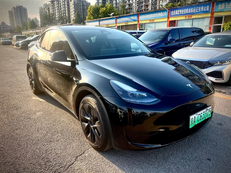 Tesla Model Y — фото 3