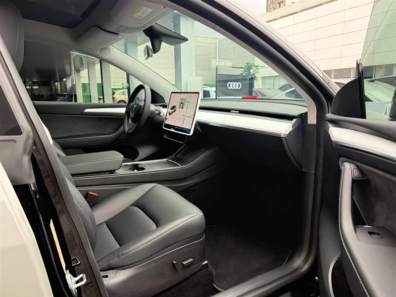 Tesla Model Y — фото 16