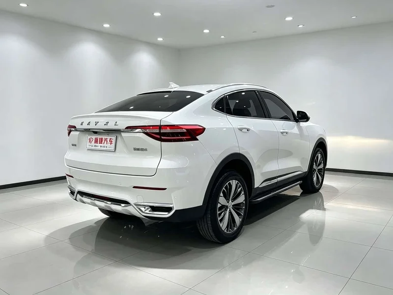 Haval F7x — фото 11