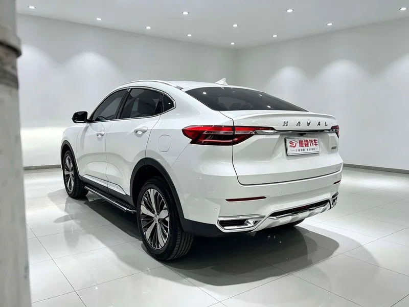 Haval F7x — фото 9