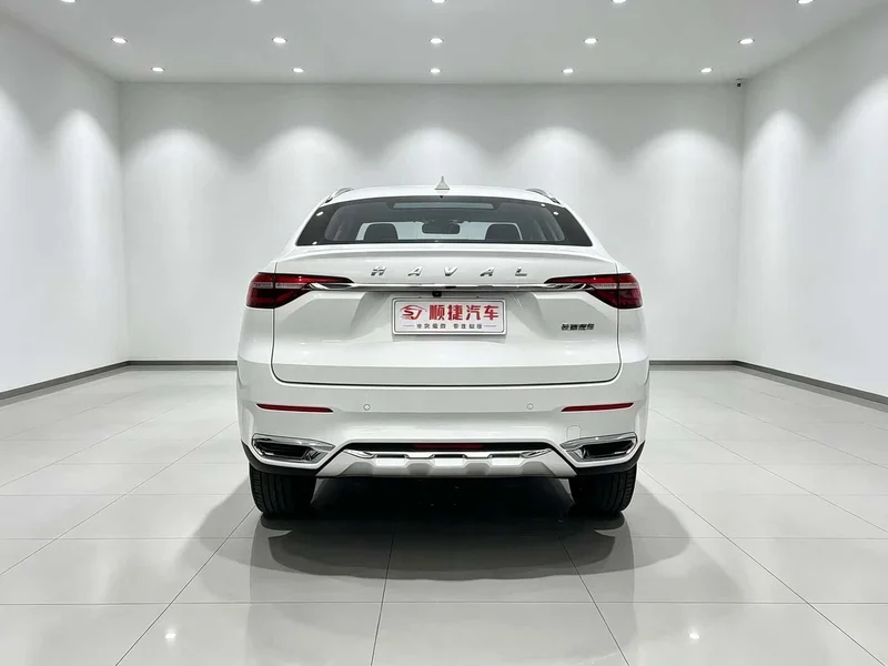 Haval F7x — фото 10