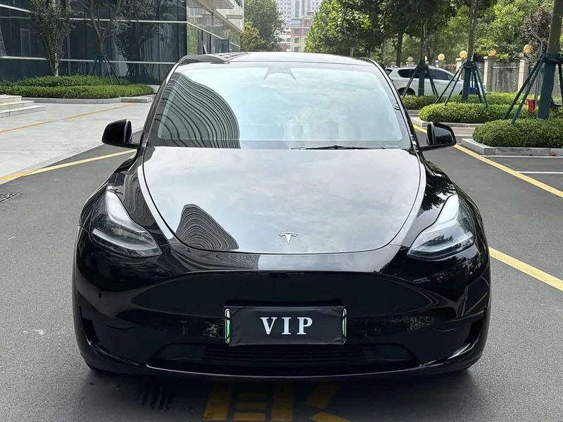 Tesla Model Y — фото 2