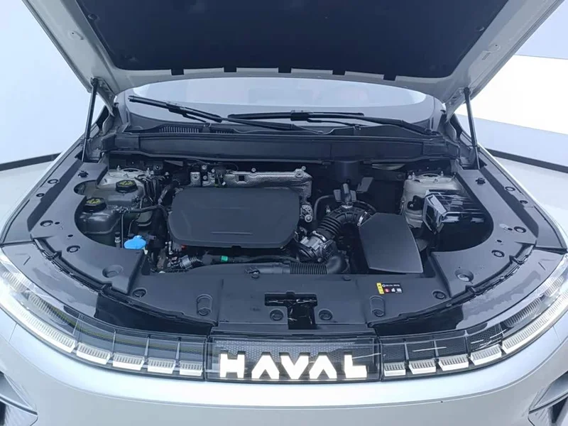 Haval Xiaolong MAX — фото 10