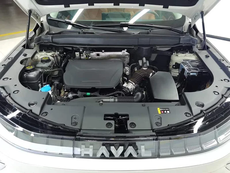 Haval Xiaolong MAX — фото 10