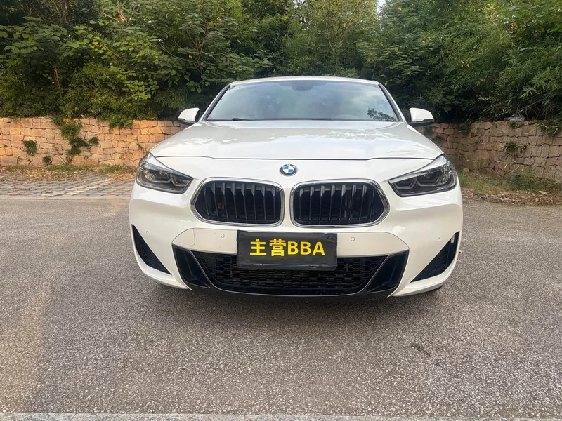 BMW X2 — фото 2