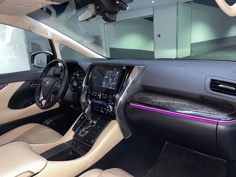 Toyota Alphard — фото 19