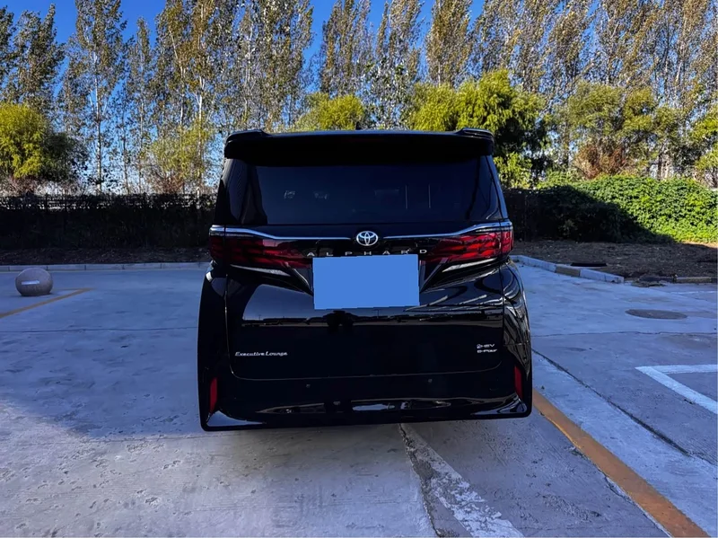 Toyota Alphard — фото 18