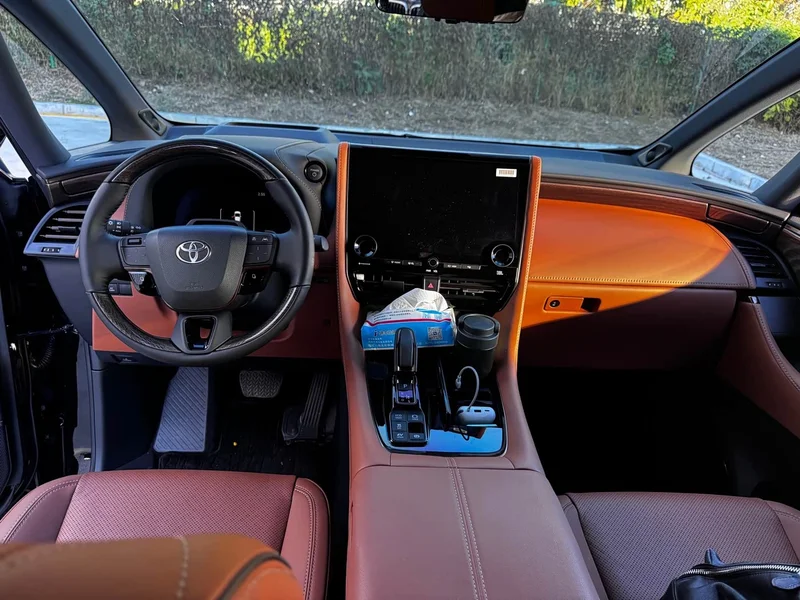 Toyota Alphard — фото 10